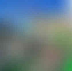 The Ultimate Vancouver Travel Guide: What to See, Do & Explore