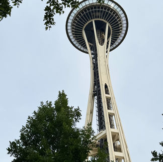 The City That Burned and Rebuilt My Perspective: Seattle in a Day