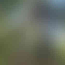 The Ultimate Vancouver Travel Guide: What to See, Do & Explore