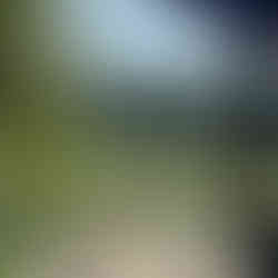 Hangzhou Travel Guide: China's "Paradise on Earth" (And Why Poets Can't Stop Writing About This City)