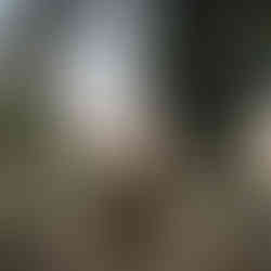 Laksventures exploring the spiritual and cultural wonders of Bali – Soul-searching journey through Bali, exploring temples, traditions, and natural beauty.