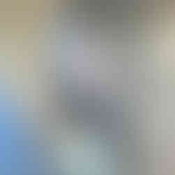 The Ultimate Vancouver Travel Guide: What to See, Do & Explore