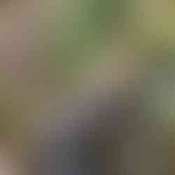 The Ultimate Vancouver Travel Guide: What to See, Do & Explore