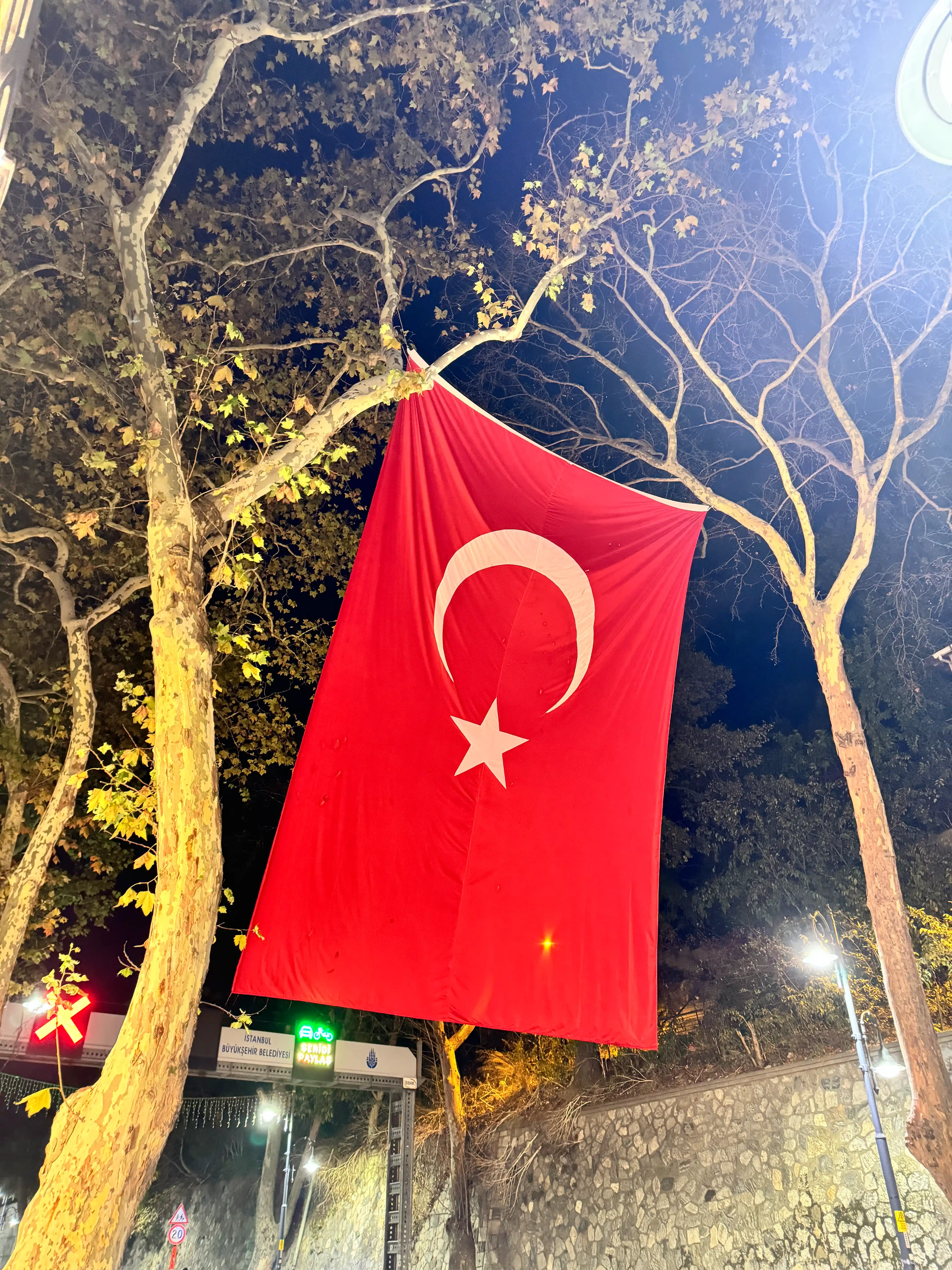 Istanbul. The name itself conjures up images of swirling dervishes, fragrant spice markets, and the echoing call to prayer. A city that straddles two continents, where ancient history collides with modern life, Istanbul has been on my travel bucket list forever. And let me tell you, it did not disappoint.