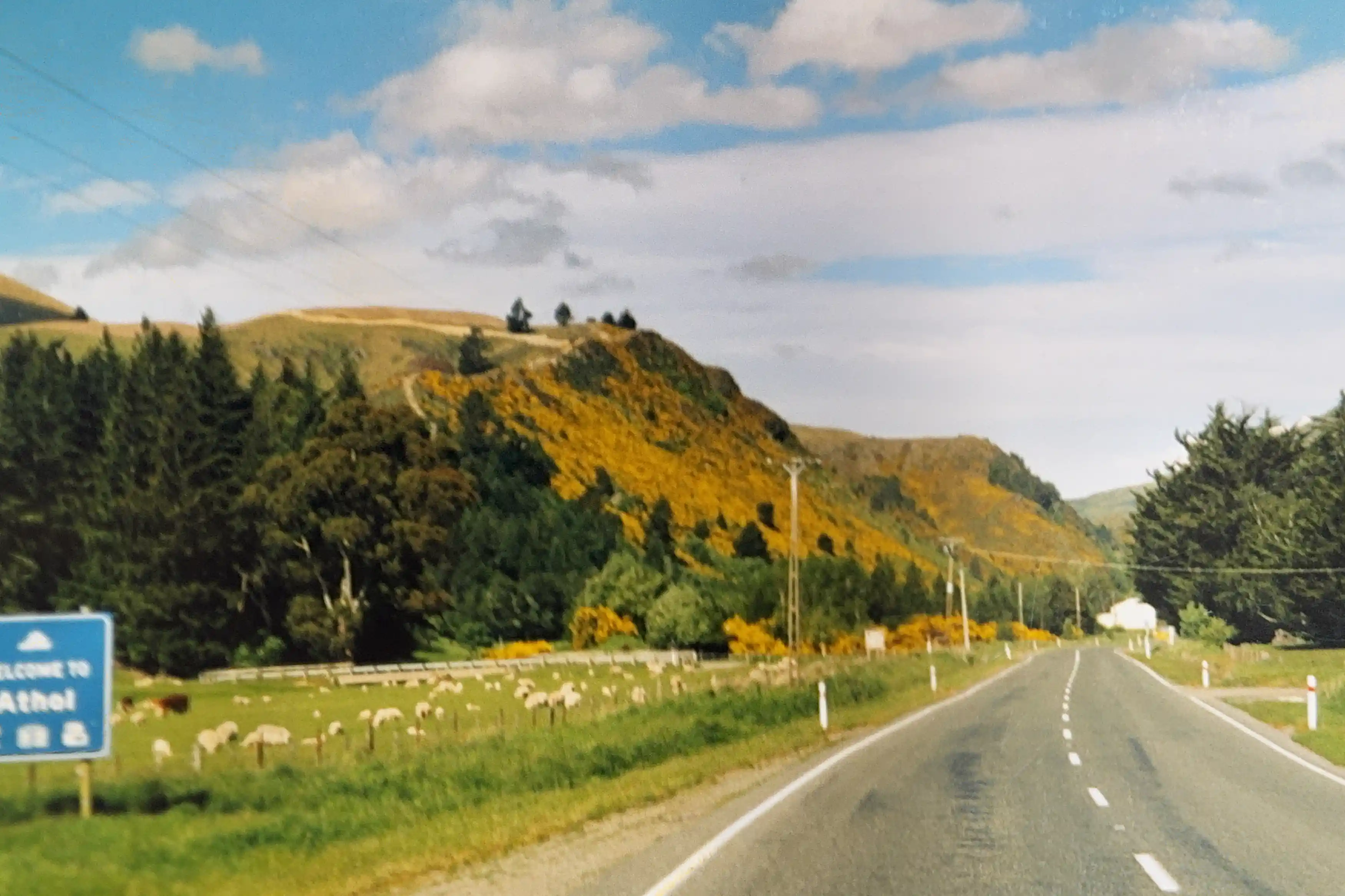I’m sharing some of my favorite snapshots from that journey in the carousel below—a little glimpse into the magic of exploring NZ on the road. If you’ve ever dreamed of a campervan adventure, trust me, there’s no better way to see this incredible country.