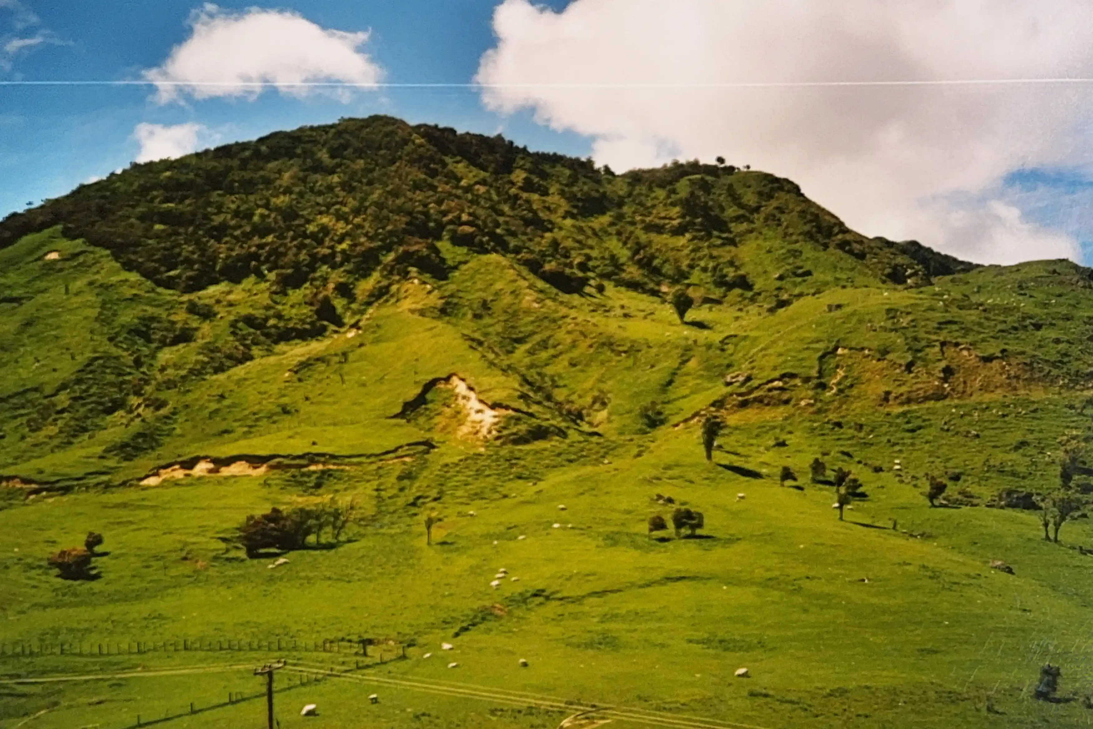 I’m sharing some of my favorite snapshots from that journey in the carousel below—a little glimpse into the magic of exploring NZ on the road. If you’ve ever dreamed of a campervan adventure, trust me, there’s no better way to see this incredible country.
