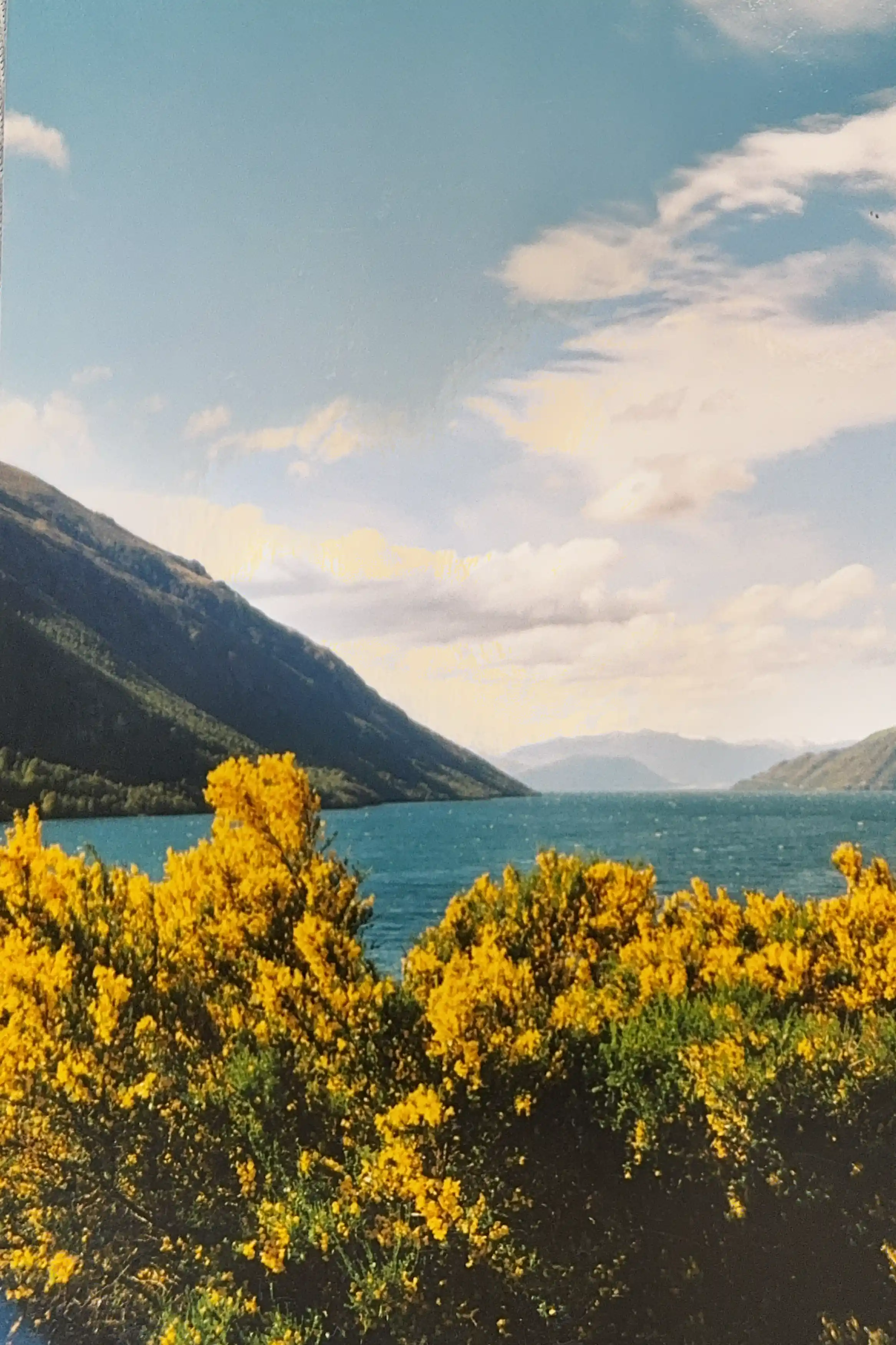 I’m sharing some of my favorite snapshots from that journey in the carousel below—a little glimpse into the magic of exploring NZ on the road. If you’ve ever dreamed of a campervan adventure, trust me, there’s no better way to see this incredible country.