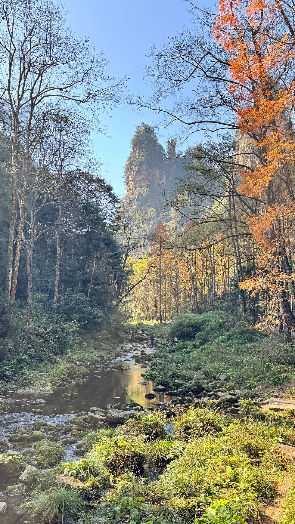 Zhangjiajie: The Most Otherworldly Place I've Ever Been (Travel Guide)