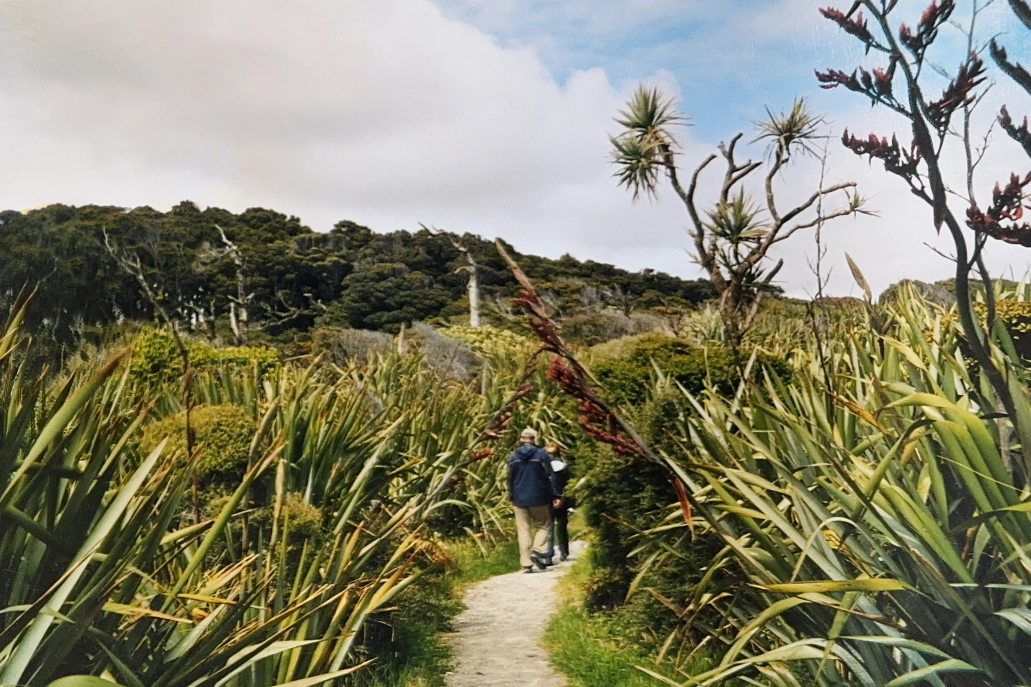 I’m sharing some of my favorite snapshots from that journey in the carousel below—a little glimpse into the magic of exploring NZ on the road. If you’ve ever dreamed of a campervan adventure, trust me, there’s no better way to see this incredible country.