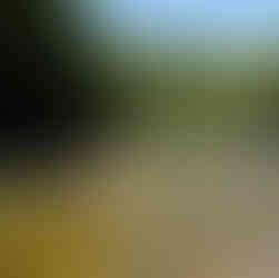 Santani’s embrace of its stunning natural surroundings invites guests to explore the breathtaking beauty of Sri Lanka. The resort offers a plethora of outdoor activities designed to connect individuals with the vibrant ecosystem of the island. Guided nature hikes lead adventurers through dense forests to hidden waterfalls and serene rivers, offering a chance to bathe in the pure waters of the island’s heartland. The tea plantation walks reveal the rich heritage of Sri Lanka’s colonial past, intertwined with the natural splendor of the rolling hills and the verdant greenery that stretches as far as the eye can see.