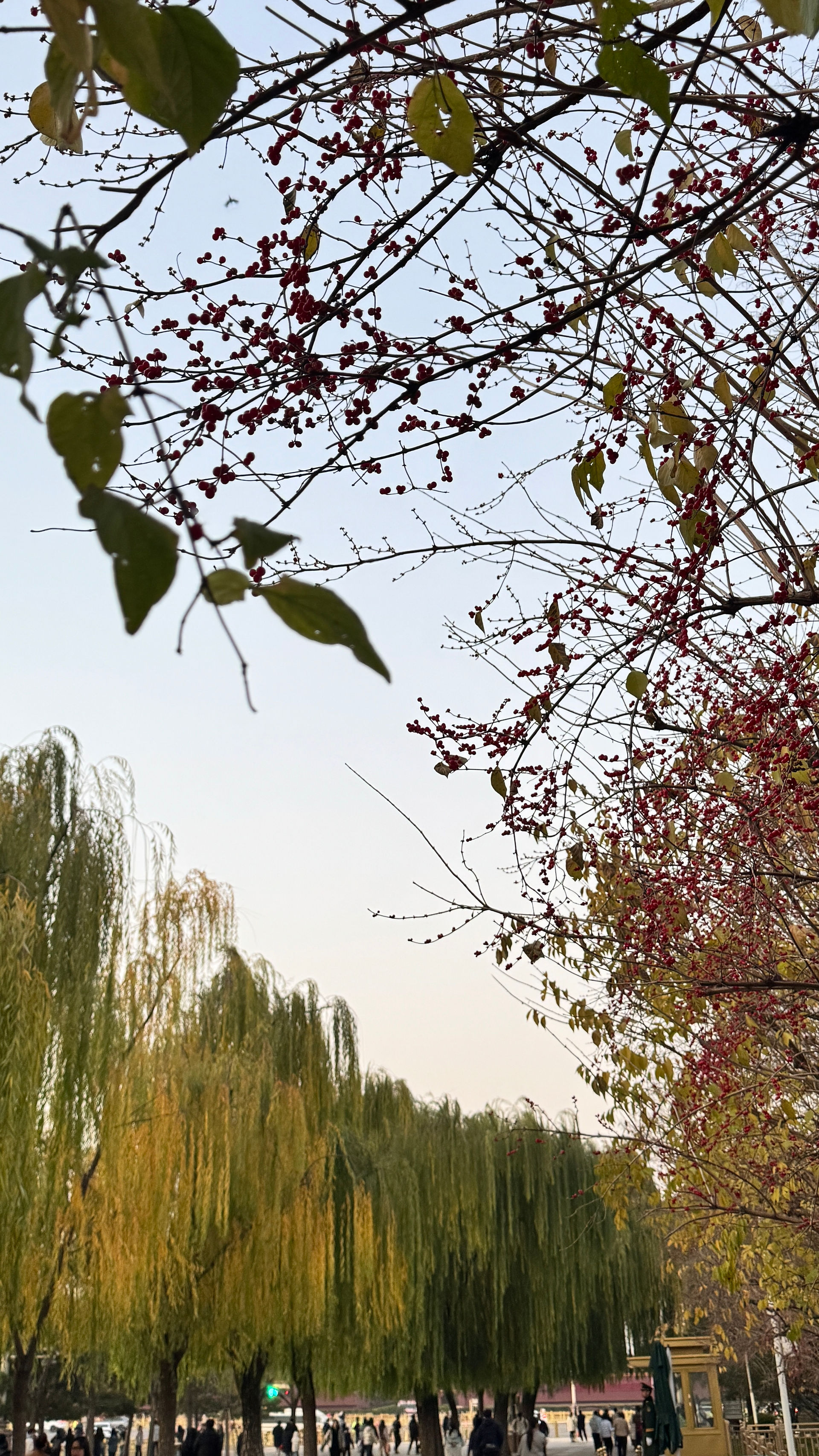 Beijing Blew My Mind: A Complete Travel Guide to China's Imperial Capital