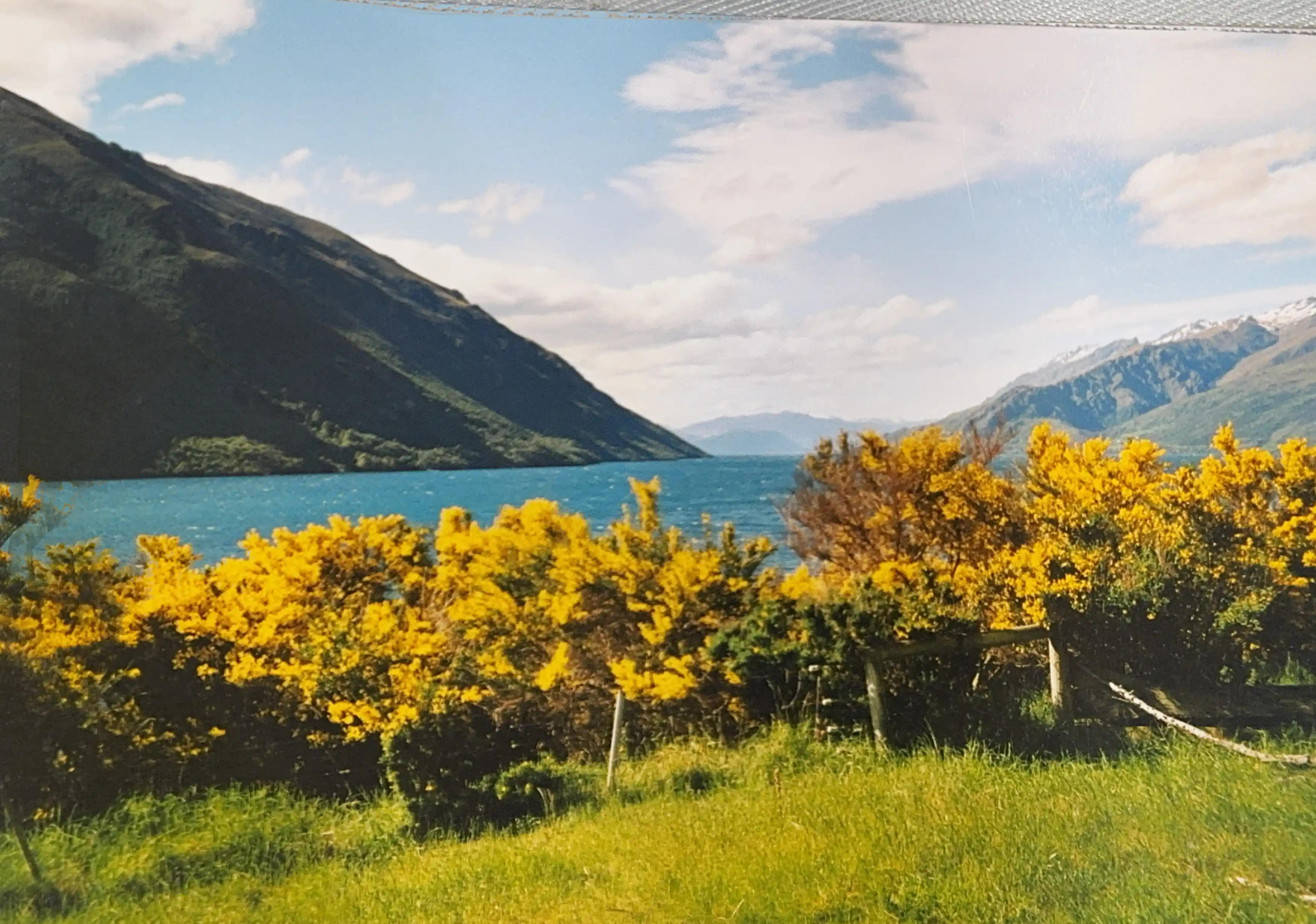 I’m sharing some of my favorite snapshots from that journey in the carousel below—a little glimpse into the magic of exploring NZ on the road. If you’ve ever dreamed of a campervan adventure, trust me, there’s no better way to see this incredible country.