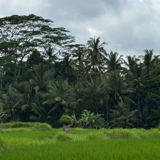 Laksventures exploring the spiritual and cultural wonders of Bali – Soul-searching journey through Bali, exploring temples, traditions, and natural beauty.