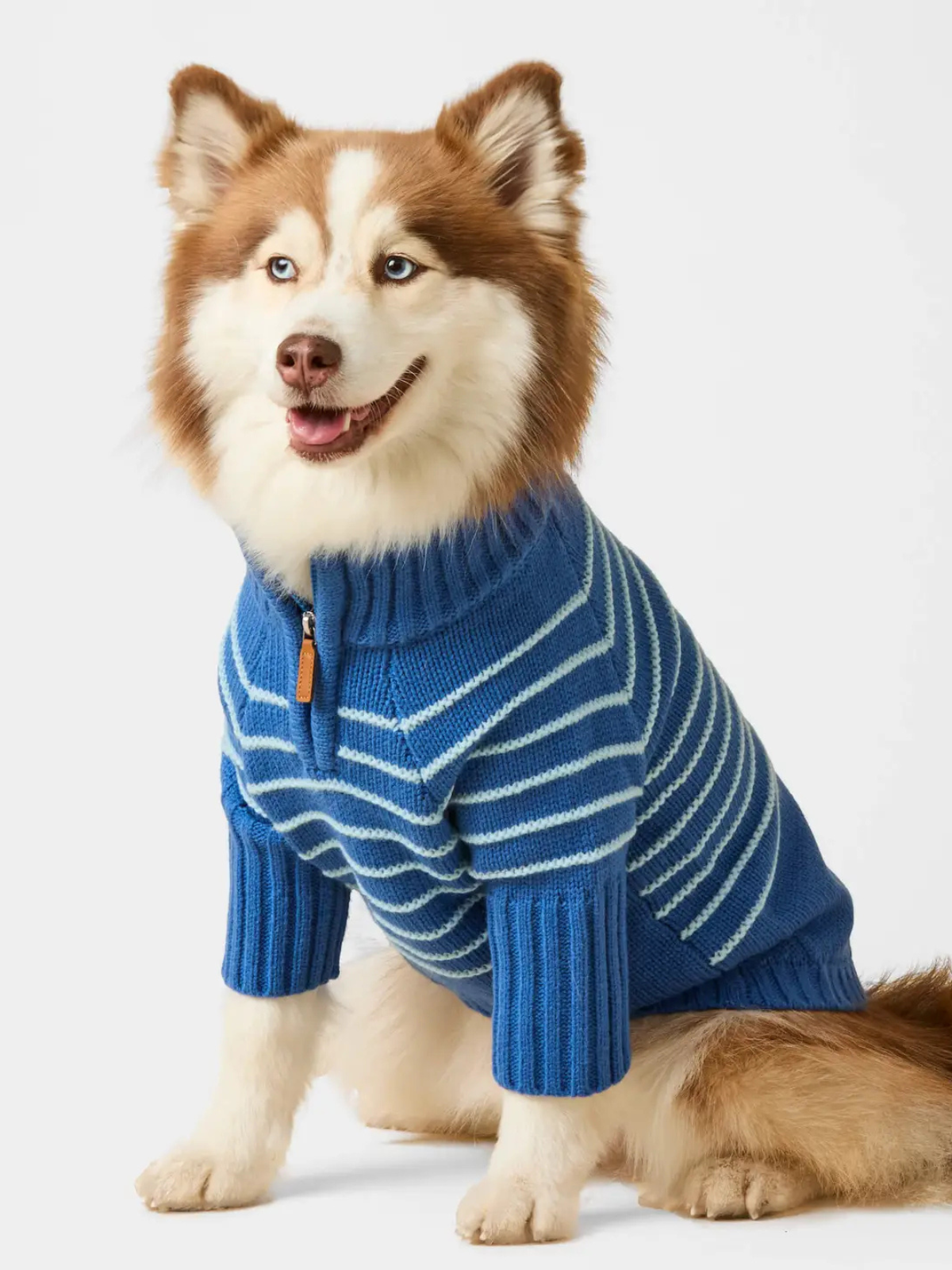 Quarter-Zip Dog Sweater | Blue Stripe