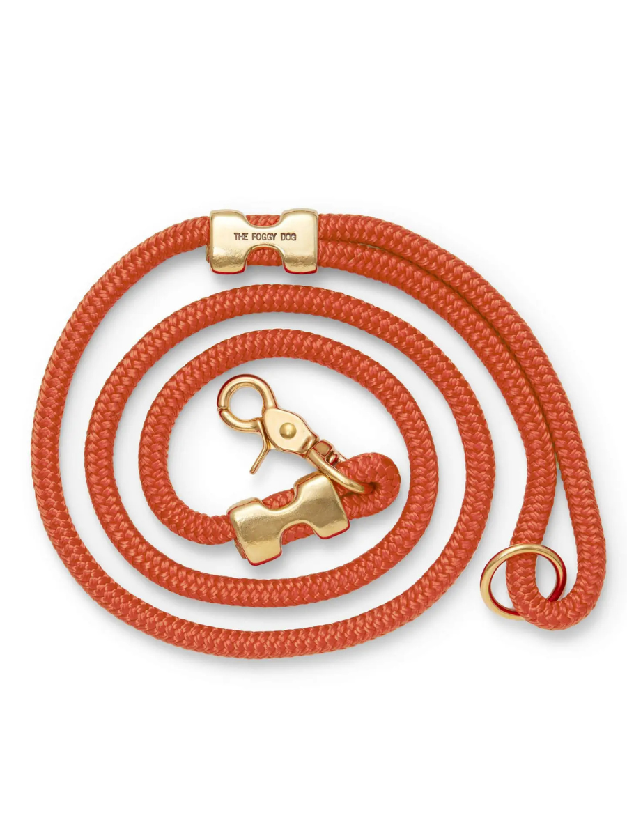 Thumbnail: 5ft Rope Dog Leash | Volunteer
