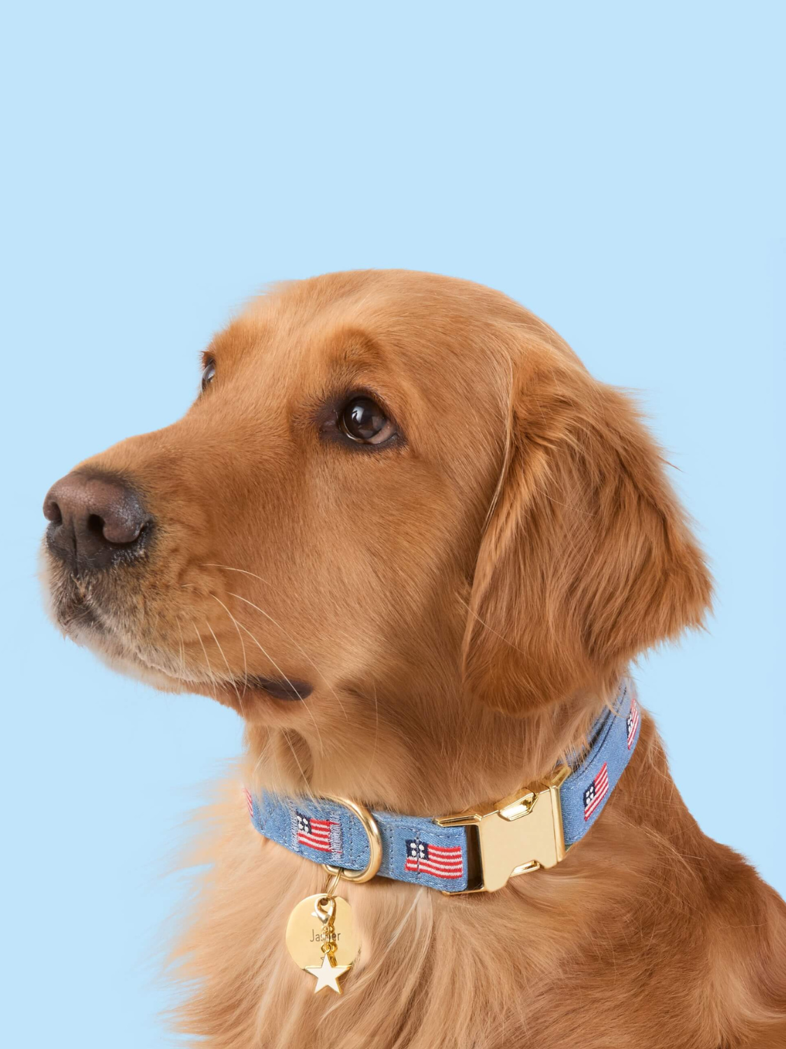 Dog Collar | American Flag Embroidered