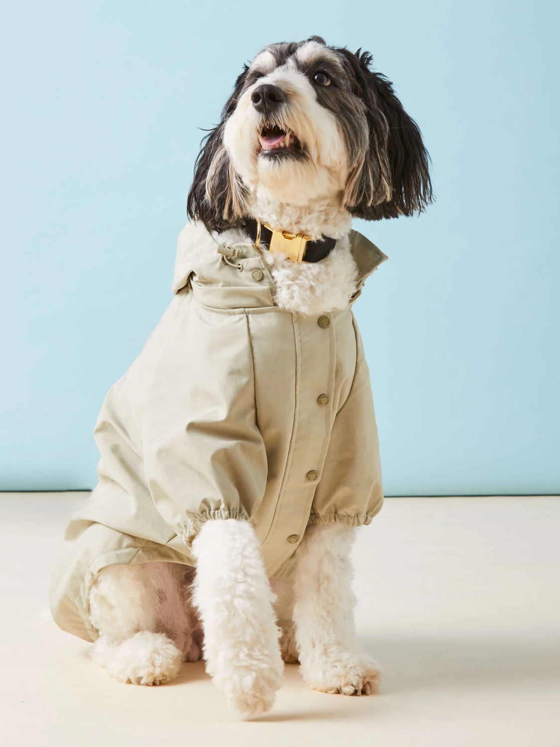 Dog Raincoat | Sage