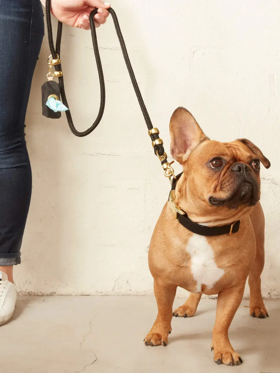 5ft Rope Dog Leash | Onyx