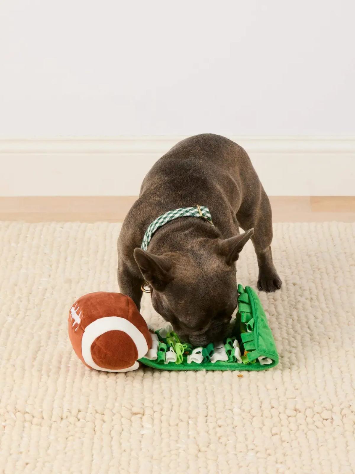 Interactive Snuffle Dog Toy | Football