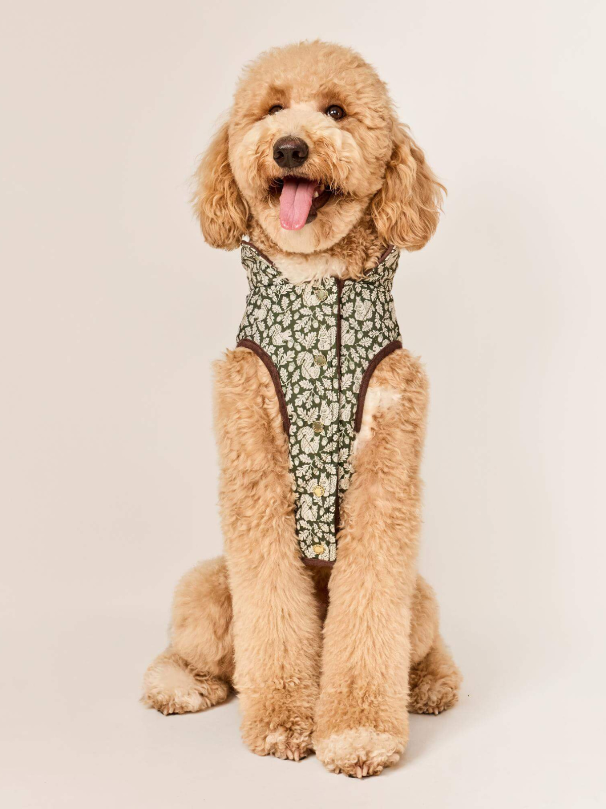 Reversible Dog Jacket | Olive
