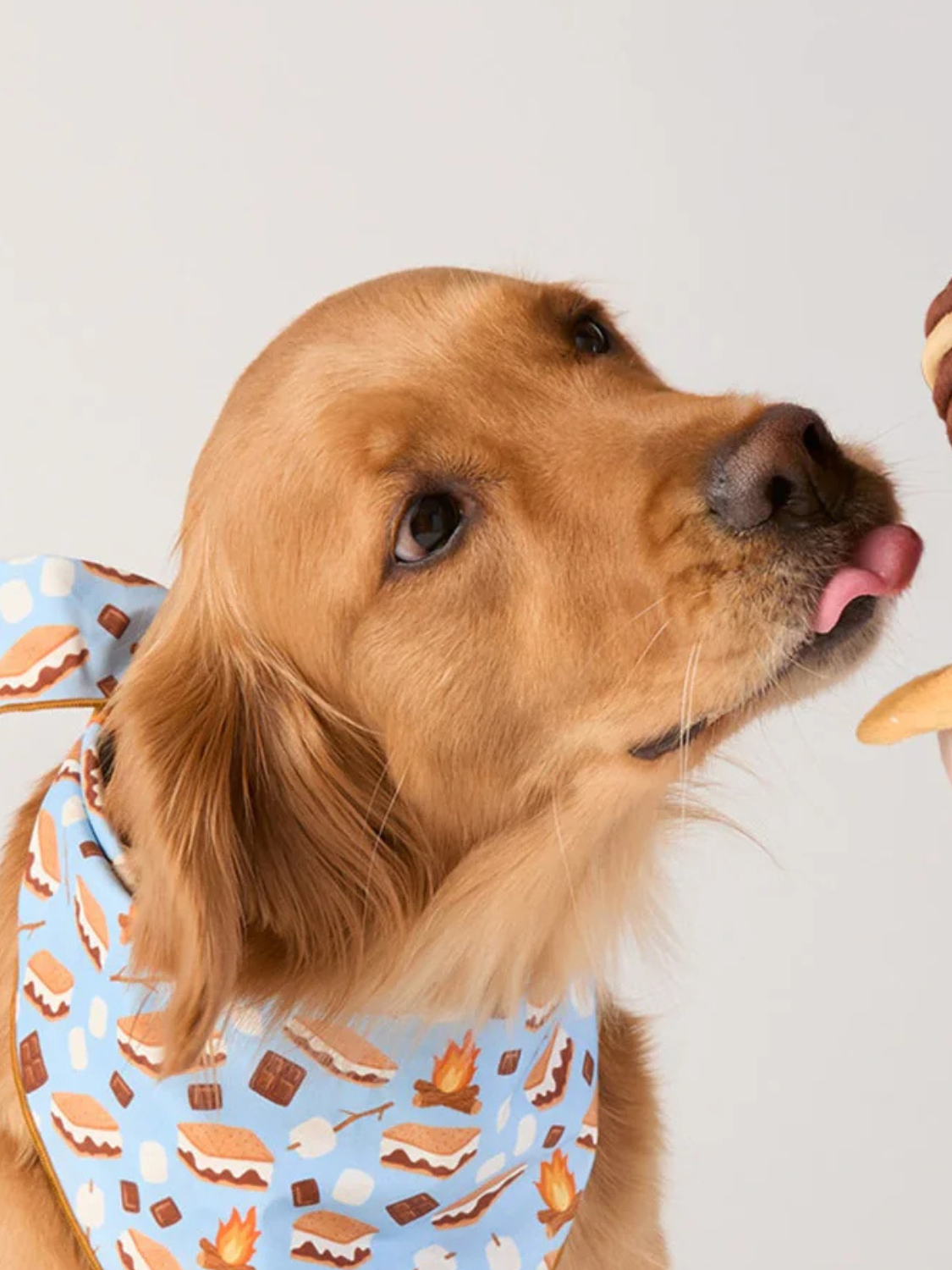 Interactive Snuffle Dog Toy | S'more