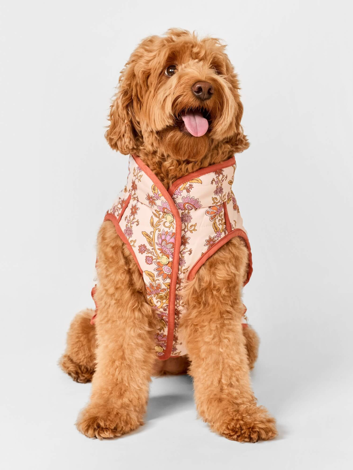 Reversible Dog Jacket | Blockprint Floral
