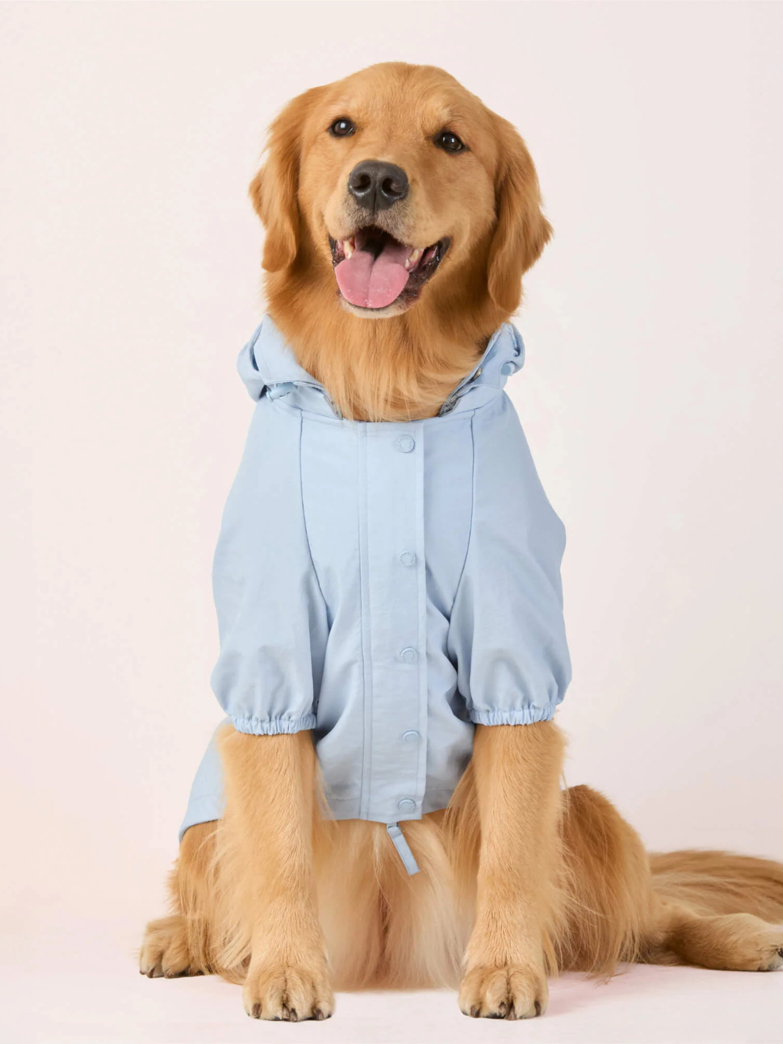 Dog Raincoat | Sky Blue