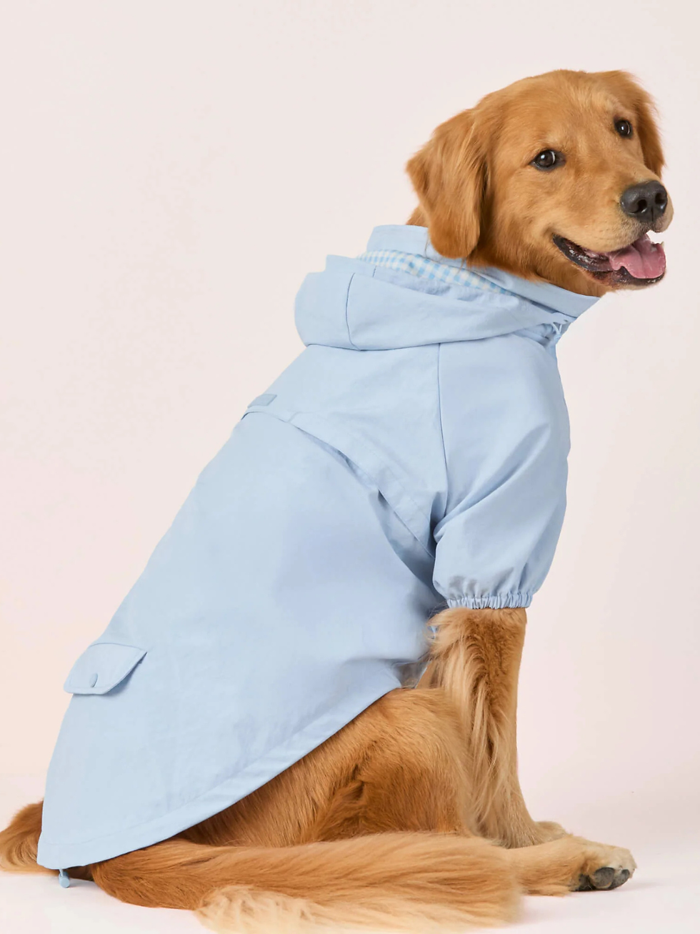 Thumbnail: Dog Raincoat | Sky Blue