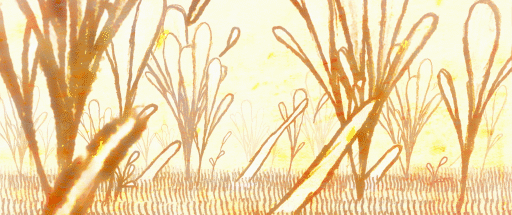 Out of the Flames_1.gif