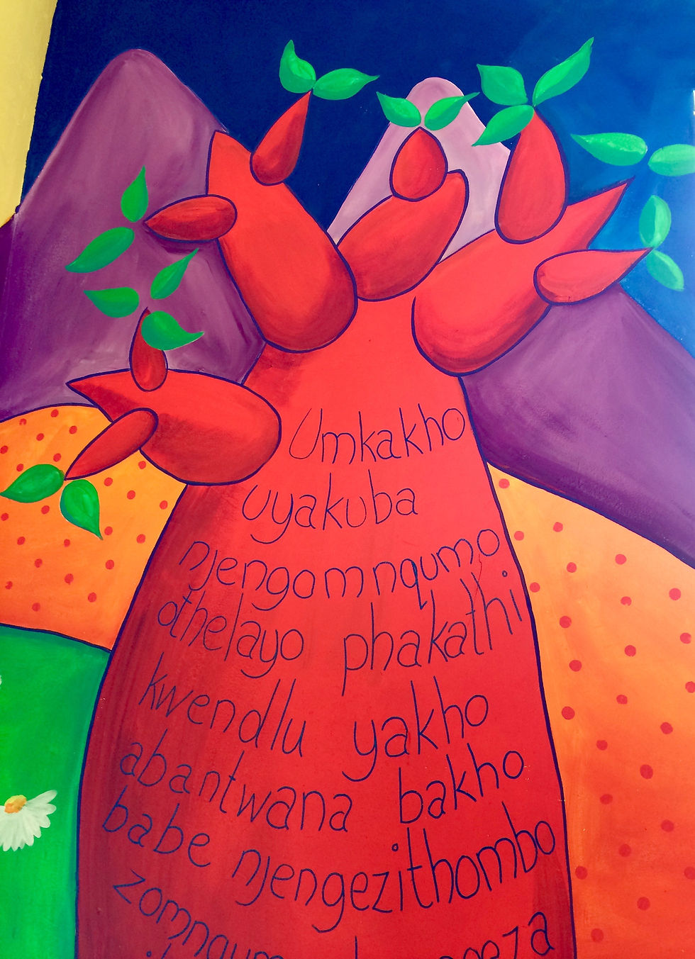 Cassy Healey Baobab
