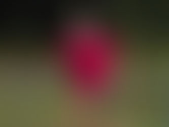 PINK DAY PREVIEW: WREXHAM AFC WOMEN (H)