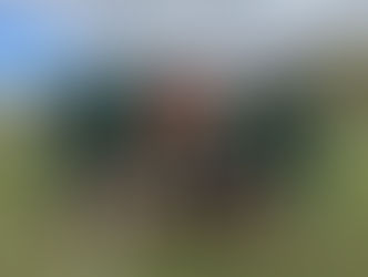 REPORT: YNYSHIR ALBIONS 0 - 0 ATFC