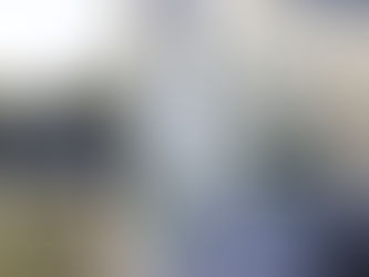 SEASIDERS' SURVEY LAUNCHED!