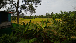 IMG_20191208_134917.jpg