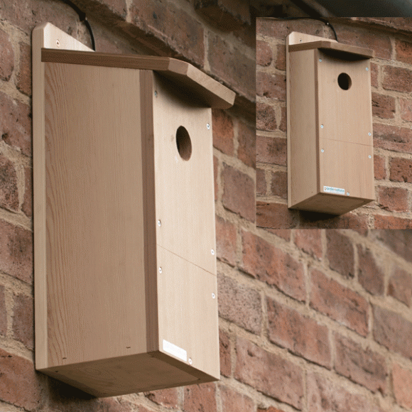 Woodpecker Nestbox Camera System