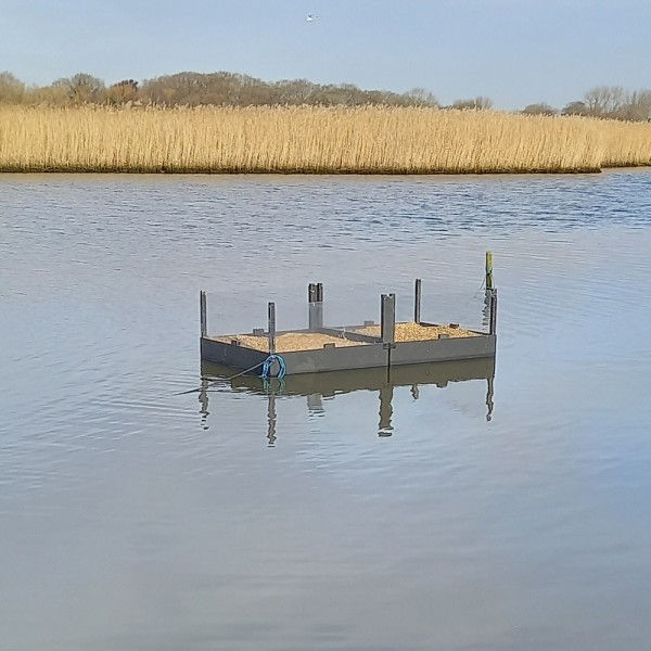 Thumbnail: Mink proof Tern Raft