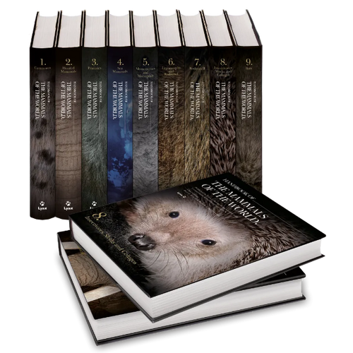 た*ん様 HANDBOOK OF THE MAMMALS OF THE WORL file.png