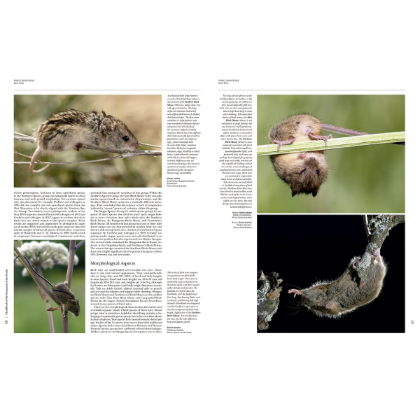 Thumbnail: Handbook of the Mammals of the World - Volume 7