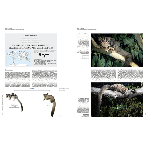 Thumbnail: Handbook of the Mammals of the World - Volume 5