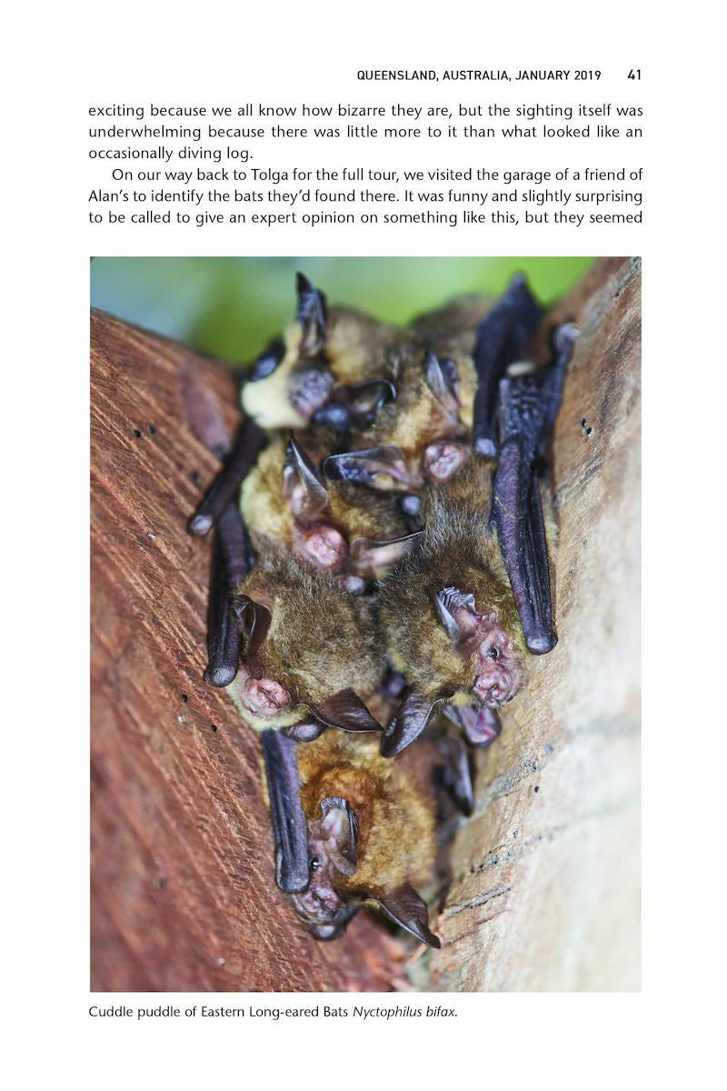 Thumbnail: Big Bat Year