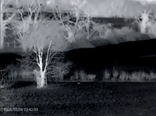 Thumbnail: Nightfox Thermal Master DV2