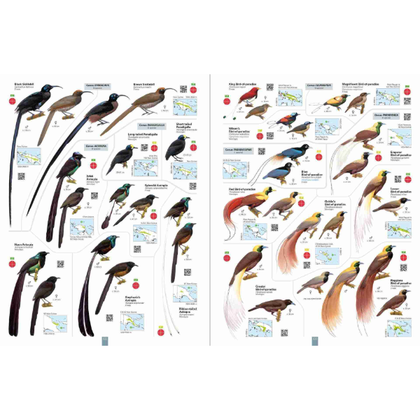 Thumbnail: All the Birds of the World & All the Mammals of the World