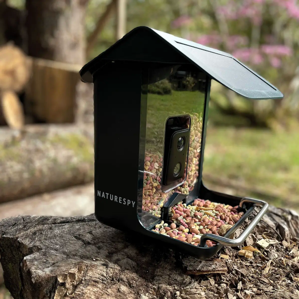 Thumbnail: WiFi BirdCamPro