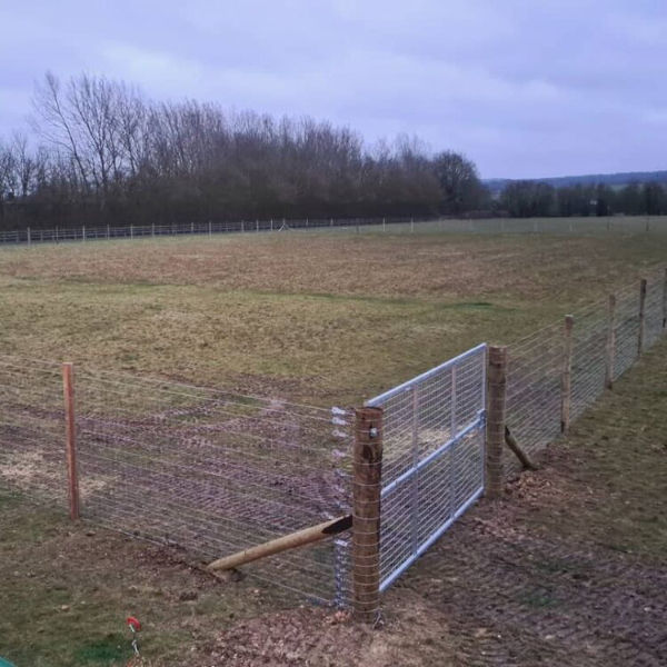 Dog Fencing & Gates
