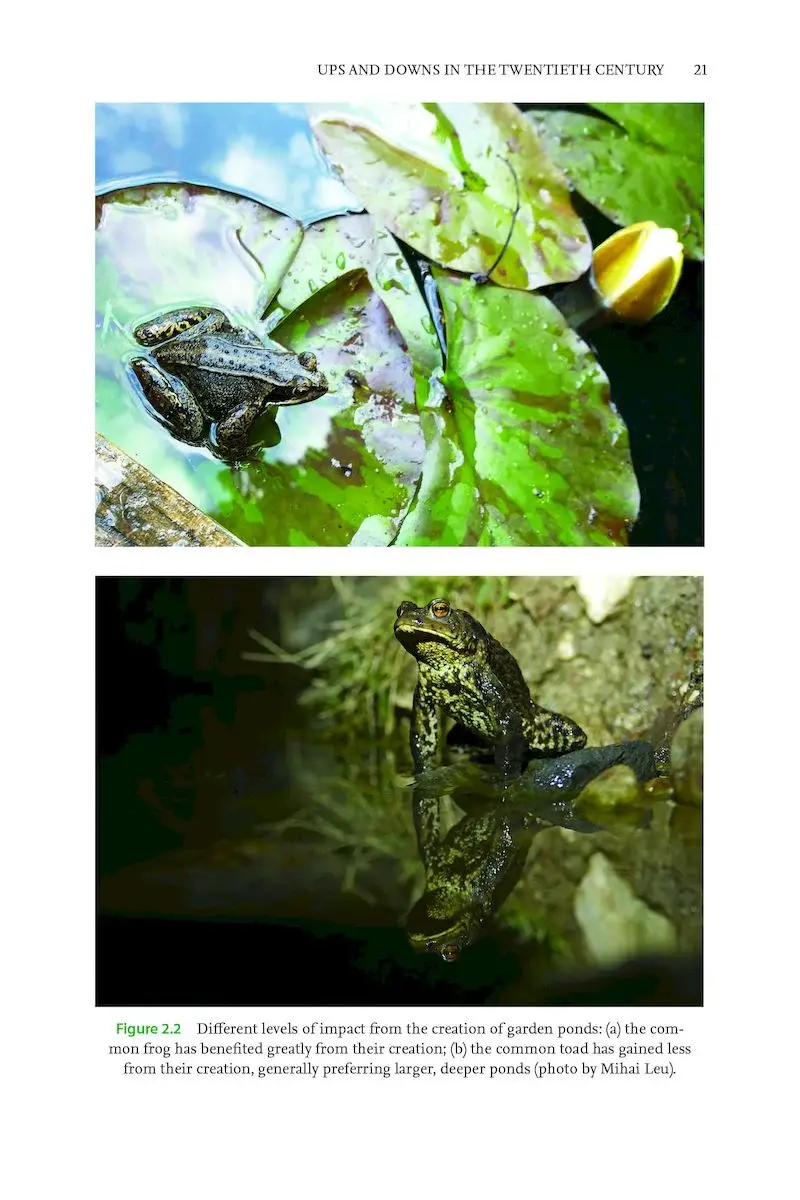 Thumbnail: Tadpole Hunter