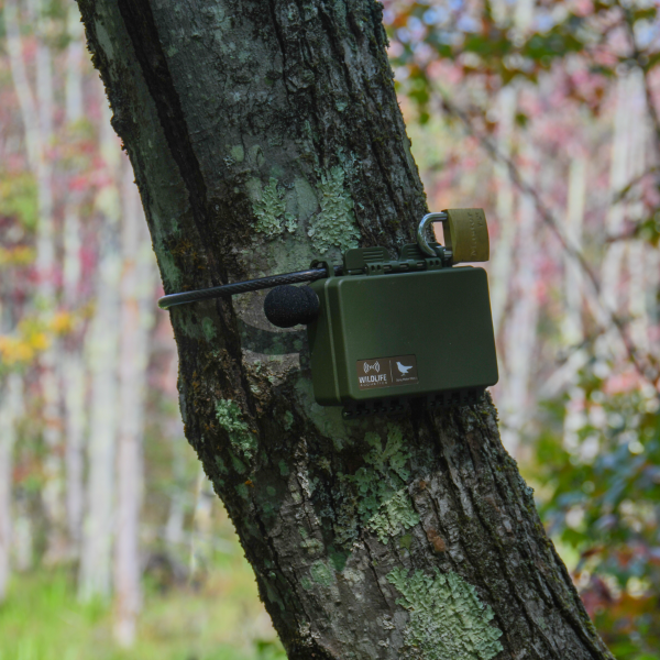 Thumbnail: Song Meter Mini 2 Acoustic Recorder