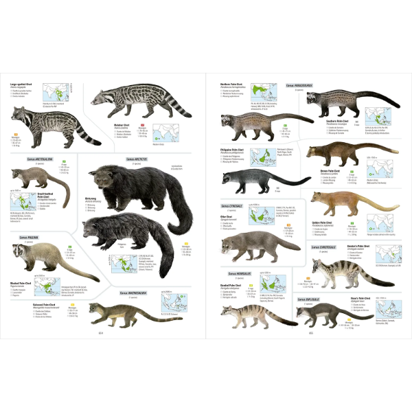 Thumbnail: All the Mammals of the World