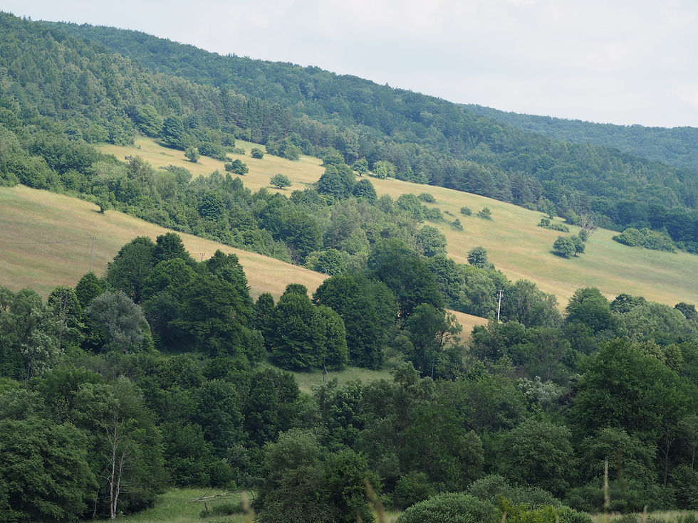 Magura National Park
