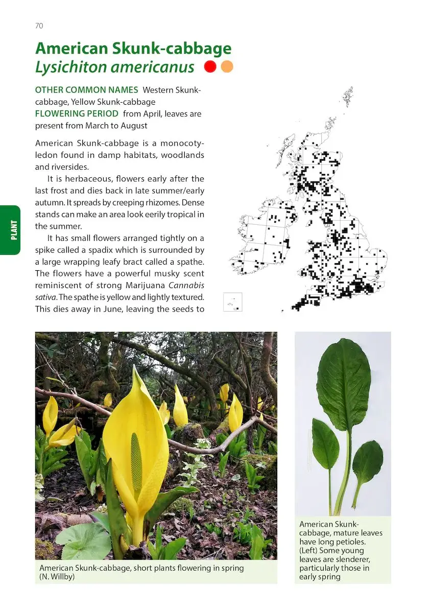 Thumbnail: Identification Guide to the Non-Native Invasive Plants of Britain and Ireland