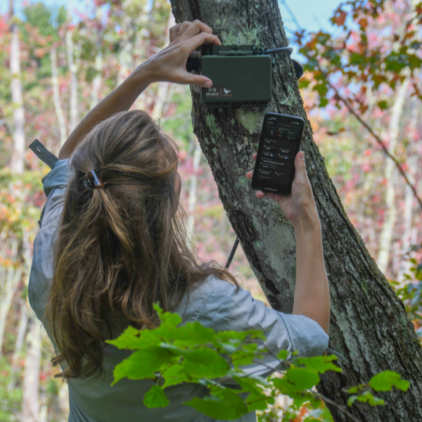 Thumbnail: Song Meter Mini 2 Acoustic Recorder